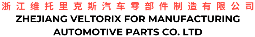 Zhejiang Veltorix for Manufacturing Automotive Parts Co. Ltd Logo